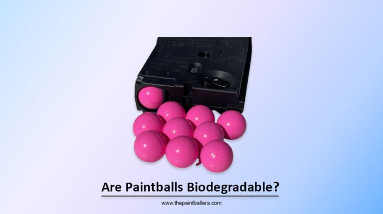 Are Paintballs Biodegradable? – Nature & Markers